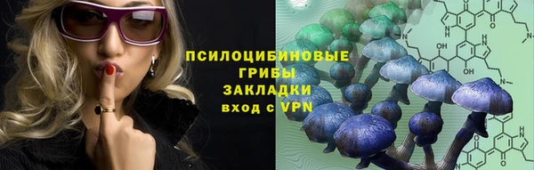 крисы Армянск