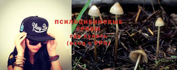 мдпв Арсеньев