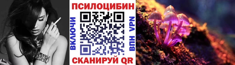 купить цена Кыштым Псилоцибиновые грибы Psilocybe